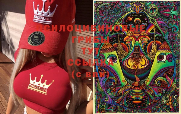 дурь Балахна