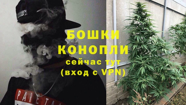 дурь Балахна