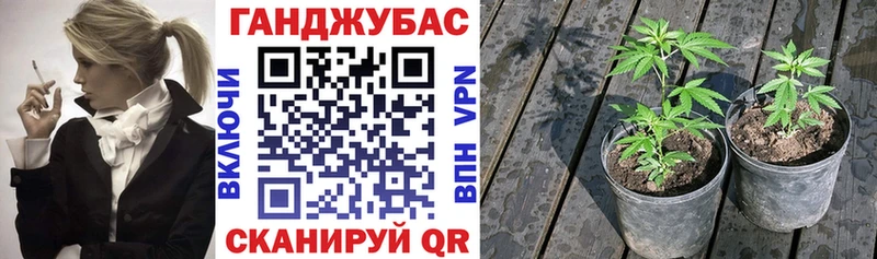 кракен зеркало  Жуковка  Бошки Шишки семена 